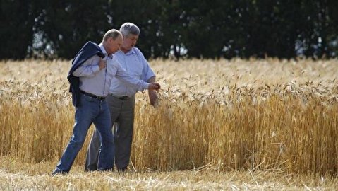 کشاورزی؛ ظرفیت شناخته نشده برای توسعه همکاری‌ها با فدراسیون روسیه